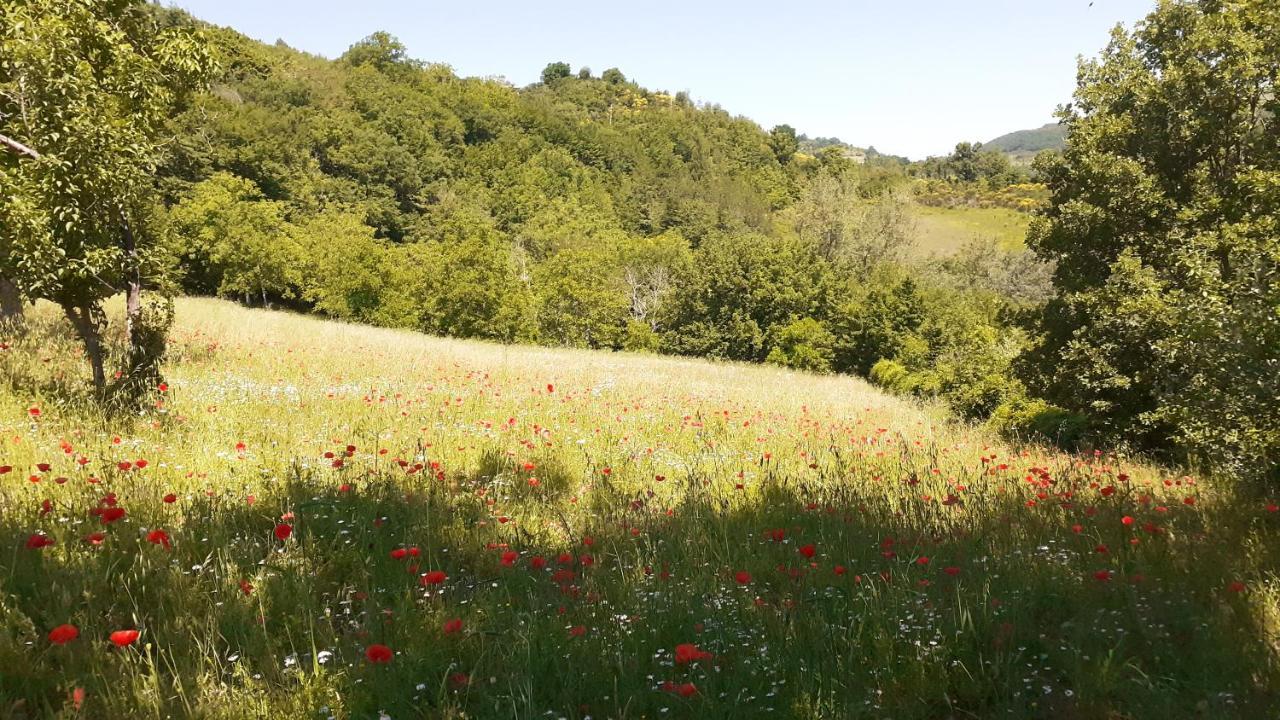 Agriturismo Marcofrate, A Retreat In The Nature Valtopina Exterior foto